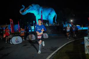 BIB: 
                            <button type="button" onclick="openModal(26551806)" class="btn btn-primary btn-sm float-right btn-popup" data-toggle="modal" data-target=".modal-high-quality">
                        <i class="fas fa-shopping-cart"></i> Add to Cart
                    </button>
                                            <button type="button" onclick="isThisMe(26551806, true)" class="btn btn-success btn-sm float-right btn-popup btn-isme hidden" data-toggle="tooltip" data-placement="bottom" title="นี่คือรูปของคุณใช่ไหม คลิกที่นี่เพื่อเอาเข้าอัลบั้ม">
                        <i class="fas fa-plus"></i> Add to album
                    </button>
                    <button type="button" onclick="isThisMe(26551806, false)" class="btn btn-warning btn-sm float-right btn-popup btn-isnotme hidden">
                        <i class="fas fa-ban"></i> Remove from album
                    </button>